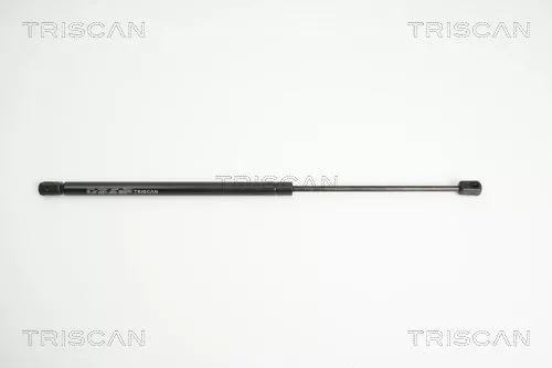 Gasveer, kofferbak/laadruimte TRISCAN 8710 11225)