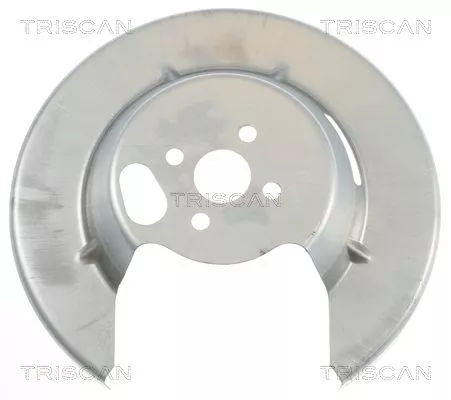 Spatbord, remschijf TRISCAN 8125 25207)