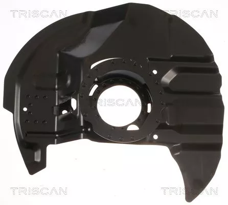 Spatbord, remschijf TRISCAN 8125 11126)