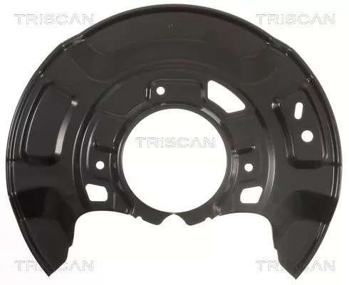 Spatbord, remschijf TRISCAN 8125 13101)