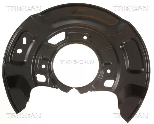 Spatbord, remschijf TRISCAN 8125 13102)