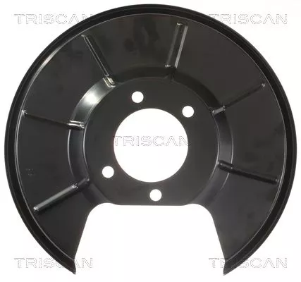 Spatbord, remschijf TRISCAN 8125 16206)