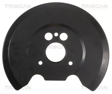 Spatbord, remschijf TRISCAN 8125 16209)