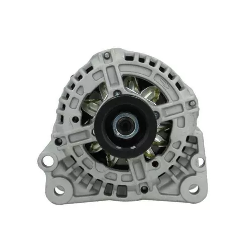 Alternator BV PSH 305.513.090.010)