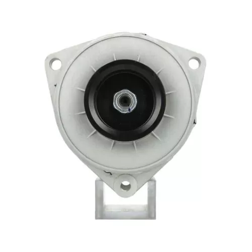 Alternator BV PSH 556.025.100.010)