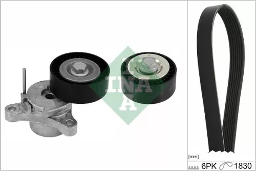 V-geribbelde riemset Schaeffler INA 529 0448 10)