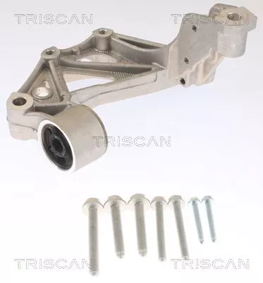 Beugel, asbalk TRISCAN 8500 295261)