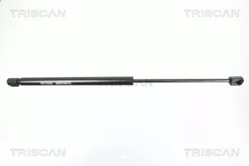 Gasveer, achterruit TRISCAN 8710 16251)