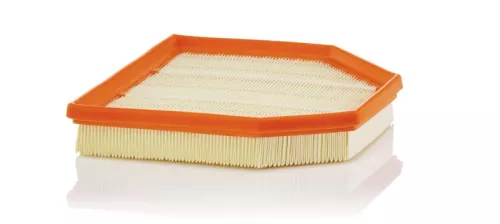 Luchtfilter MANN-FILTER C 24 242)
