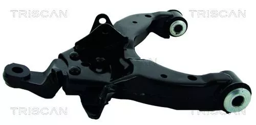Draagarm/achterwielophanging TRISCAN 8500 13564)