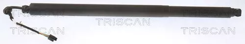 Gasveer, kofferbak/laadruimte TRISCAN 8710 29313)