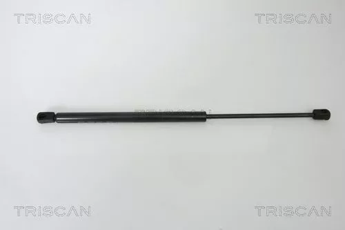 Gasveer, kofferbak/laadruimte TRISCAN 8710 29272)