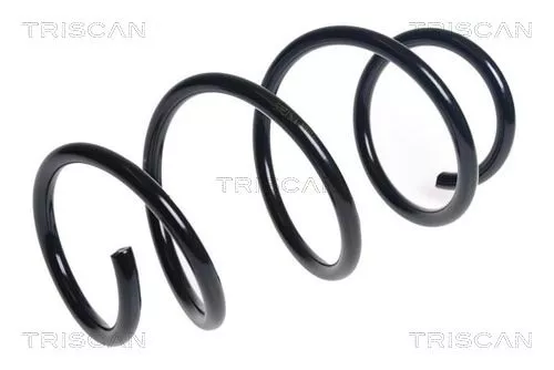 Veerophanging TRISCAN 8750 11229)