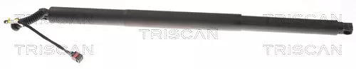 Gasveer, kofferbak/laadruimte TRISCAN 8710 29308)