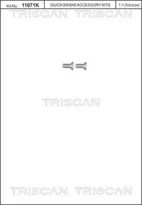 Schroevenset, remschijf TRISCAN 8105 116012)