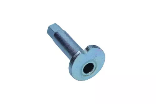 Caster vulplaatje, asbalk MAXGEAR 49-5309)
