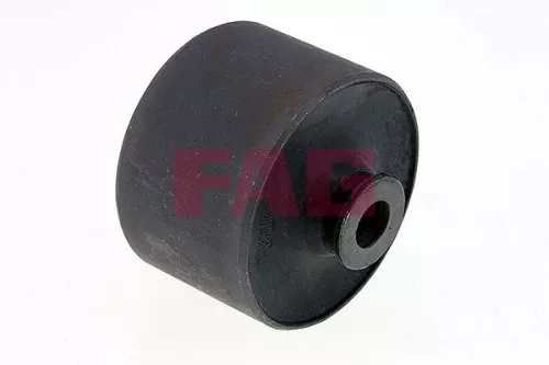 Bus, asbalk Schaeffler FAG 829 0601 10)