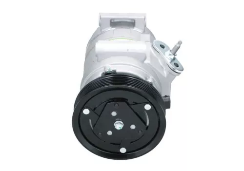 Compressor, airconditioning BV PSH 090.135.069.040)