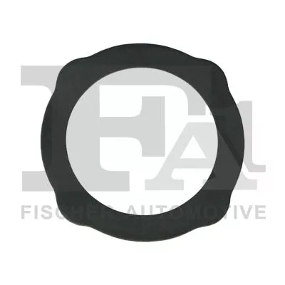 Pakking, EGR-klepleiding FA1 455-520)