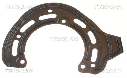 Spatbord, remschijf TRISCAN 8125 24118)