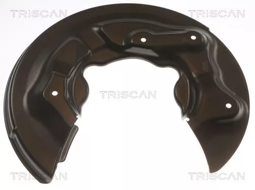 Spatbord, remschijf TRISCAN 8125 29273)