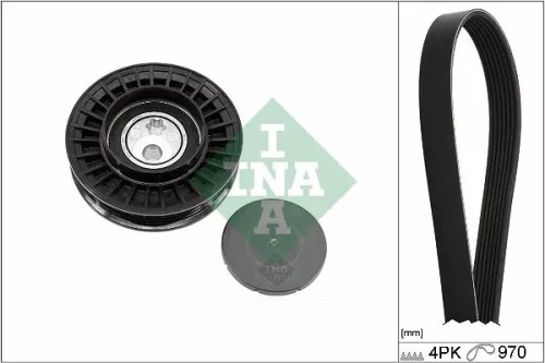 V-geribbelde riemset Schaeffler INA 529 0579 10)