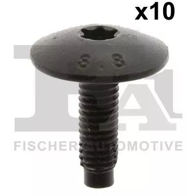 Screw FA1 21-70003.10)