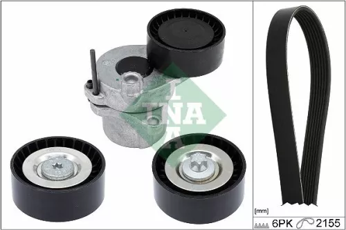V-ribbed Belt Set Schaeffler INA 529 0479 10)