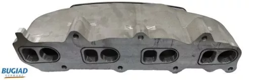 Inlaatspruitstukmodule BUGIAD BSP25328)