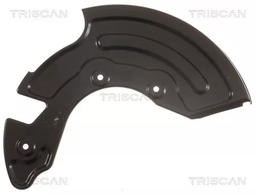 Spatbord, remschijf TRISCAN 8125 29113)