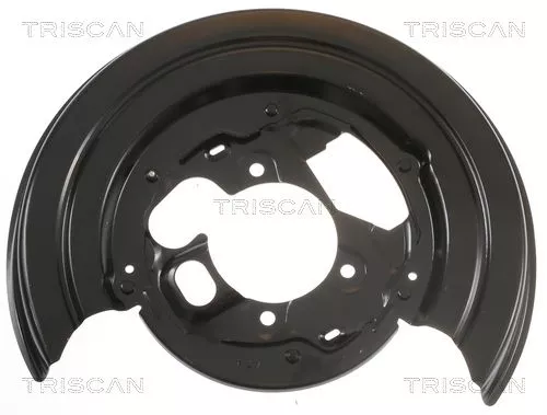 Spatbord, remschijf TRISCAN 8125 29244)