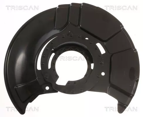 Spatbord, remschijf TRISCAN 8125 11114)
