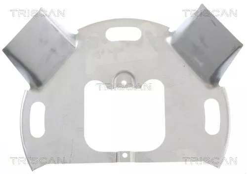 Spatbord, remschijf TRISCAN 8125 15110)