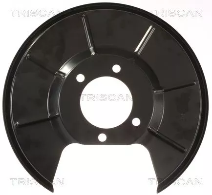 Spatbord, remschijf TRISCAN 8125 16205)
