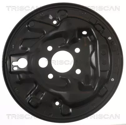 Spatbord, remschijf TRISCAN 8125 29265)