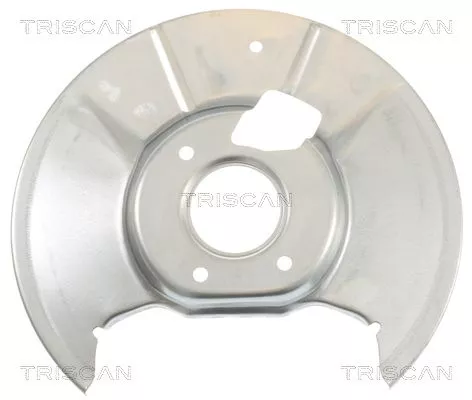 Spatbord, remschijf TRISCAN 8125 50203)