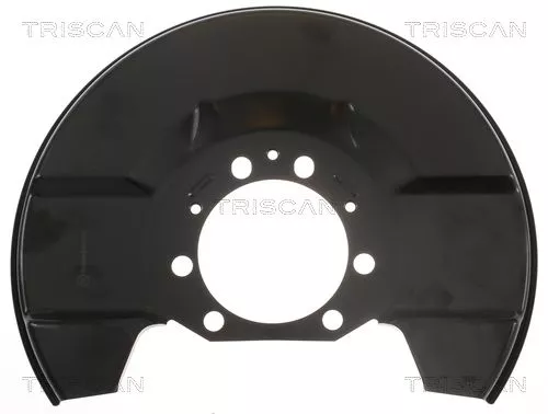 Spatbord, remschijf TRISCAN 8125 65101)