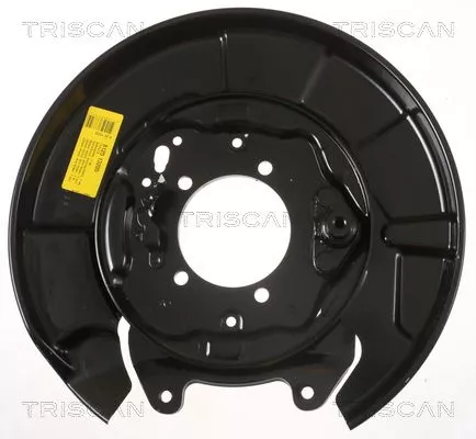 Spatbord, remschijf TRISCAN 8125 13205)