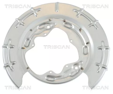 Spatbord, remschijf TRISCAN 8125 18205)
