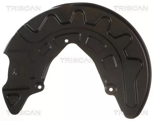 Spatbord, remschijf TRISCAN 8125 29105)