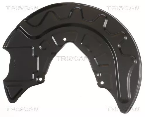 Spatbord, remschijf TRISCAN 8125 29132)
