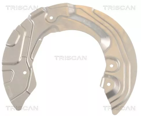Spatbord, remschijf TRISCAN 8125 11106)