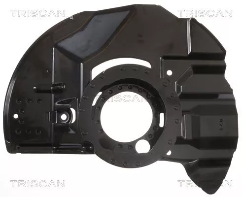 Spatbord, remschijf TRISCAN 8125 11108)