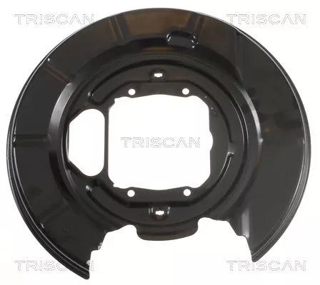 Spatbord, remschijf TRISCAN 8125 11215)