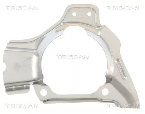 Spatbord, remschijf TRISCAN 8125 15102)