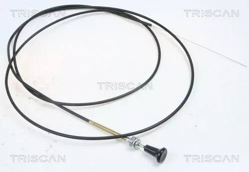 Choke-as, carburateur TRISCAN 8140 91004)