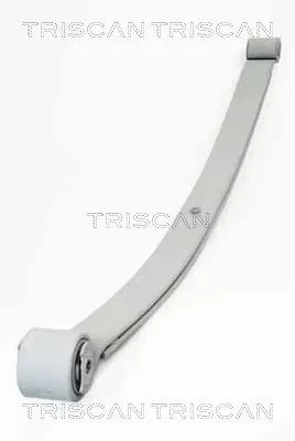 Spring Pack TRISCAN 8765 10007)