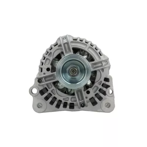 Alternator BV PSH 305.519.090.010)