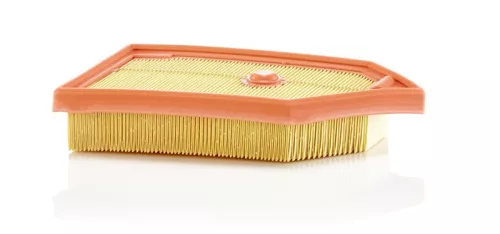 Air Filter MANN-FILTER C 26 040)
