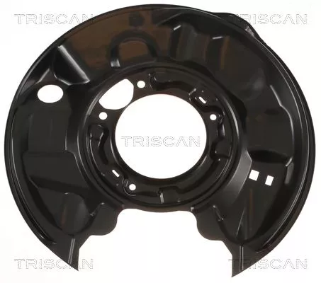 Spatbord, remschijf TRISCAN 8125 23203)
